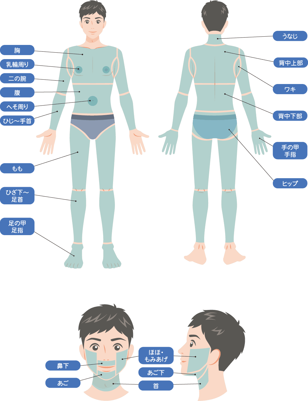 男性の脱毛可能なパーツ