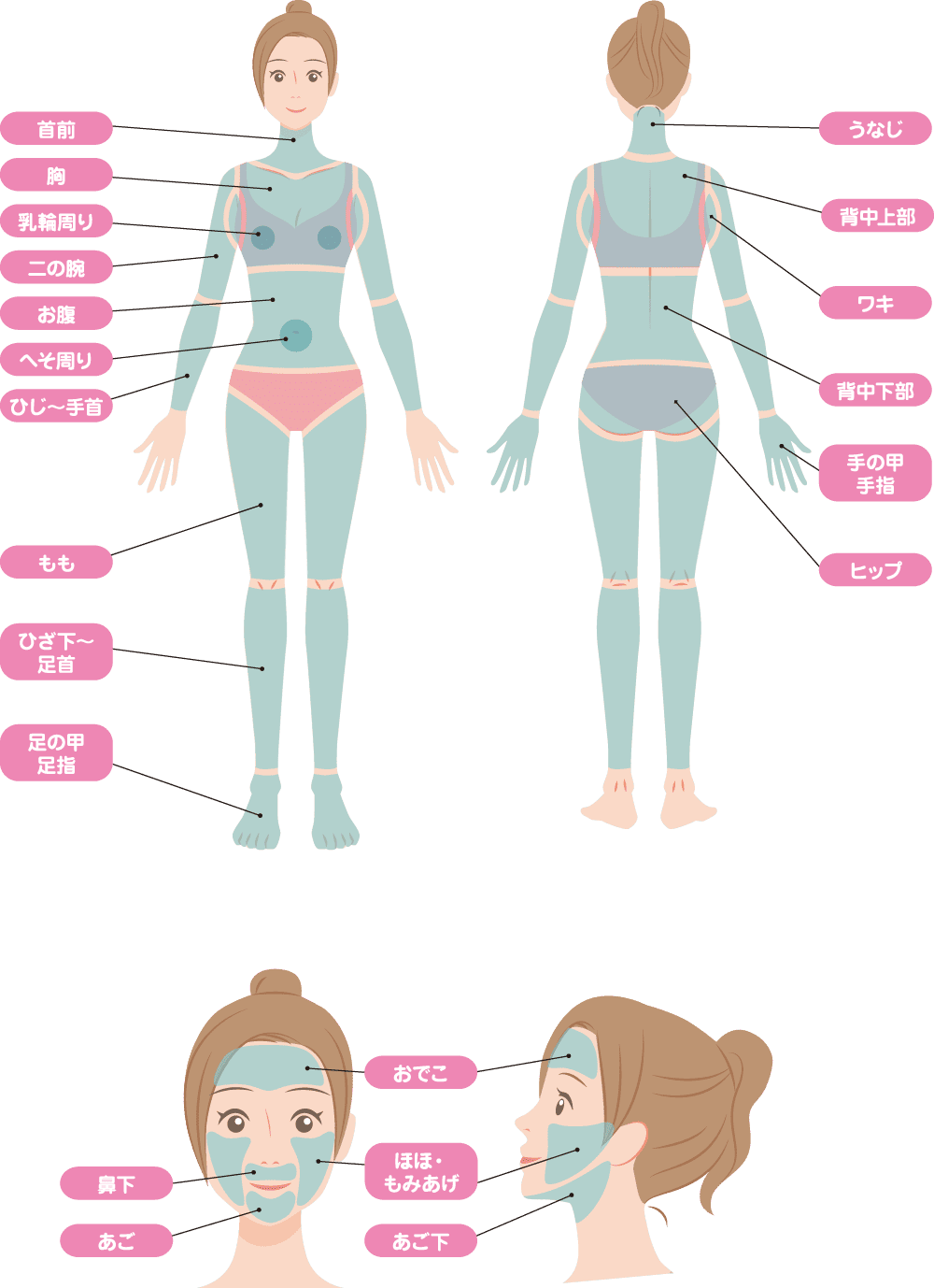 女性の脱毛可能なパーツ
